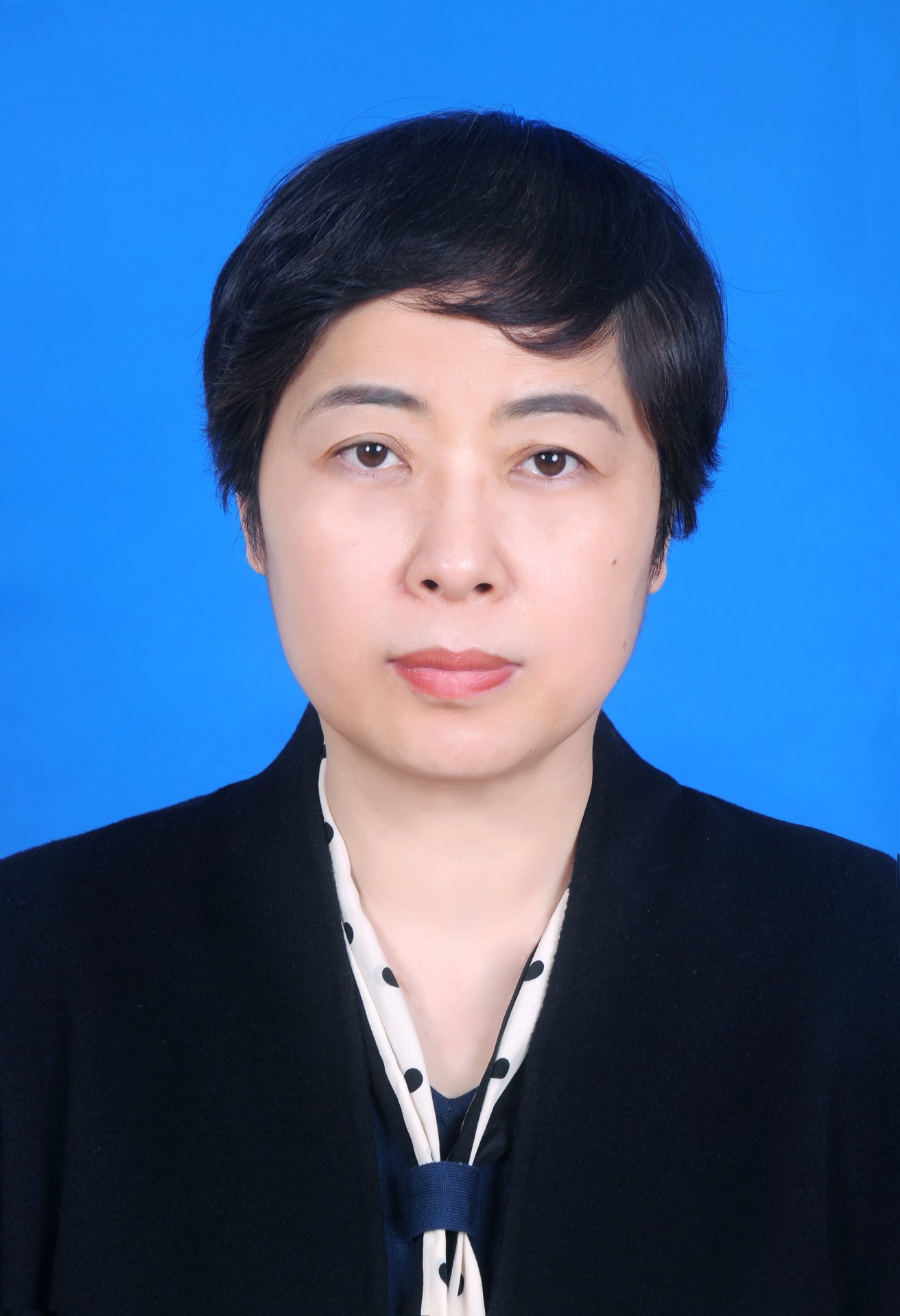 竞彩足球计算器注册优惠党组成员